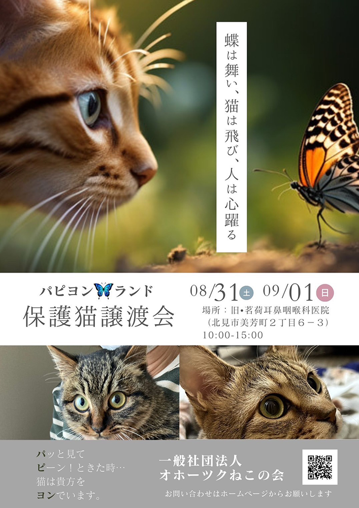 おほねこ譲渡会