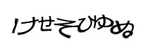 認証画像
