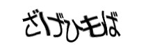 Authentication image