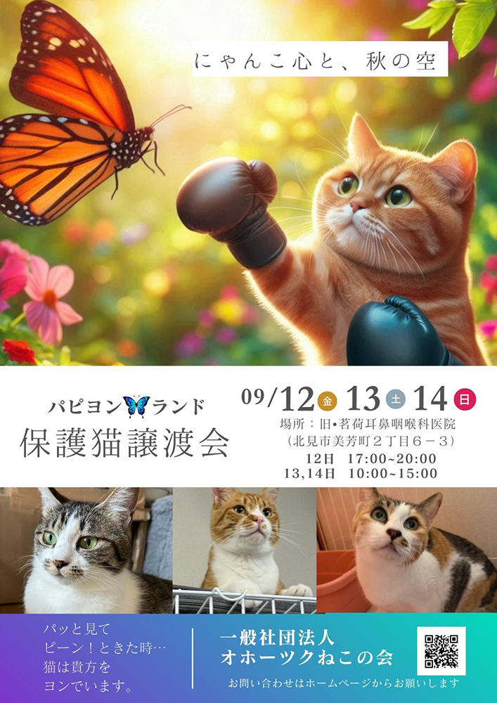 おほねこ譲渡会