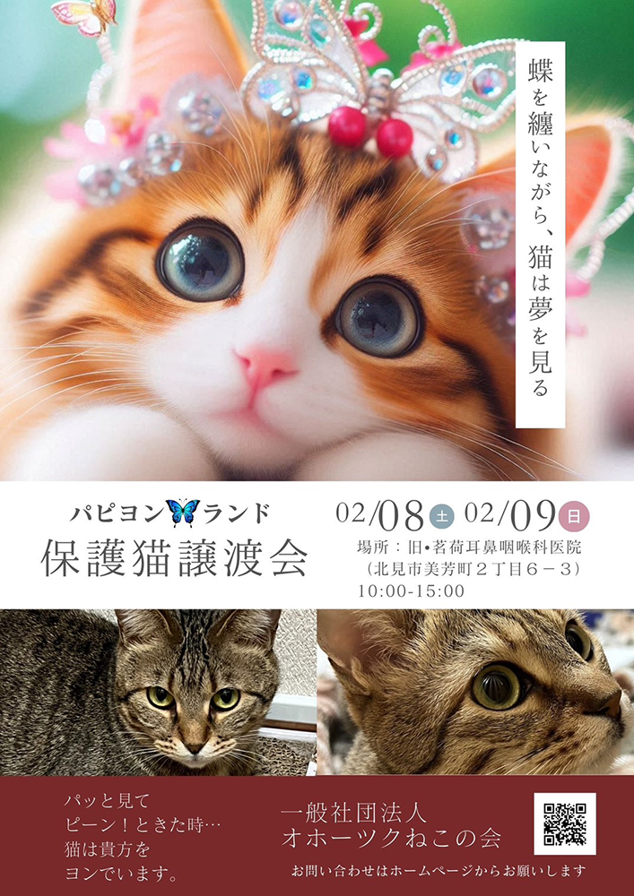 おほねこ譲渡会