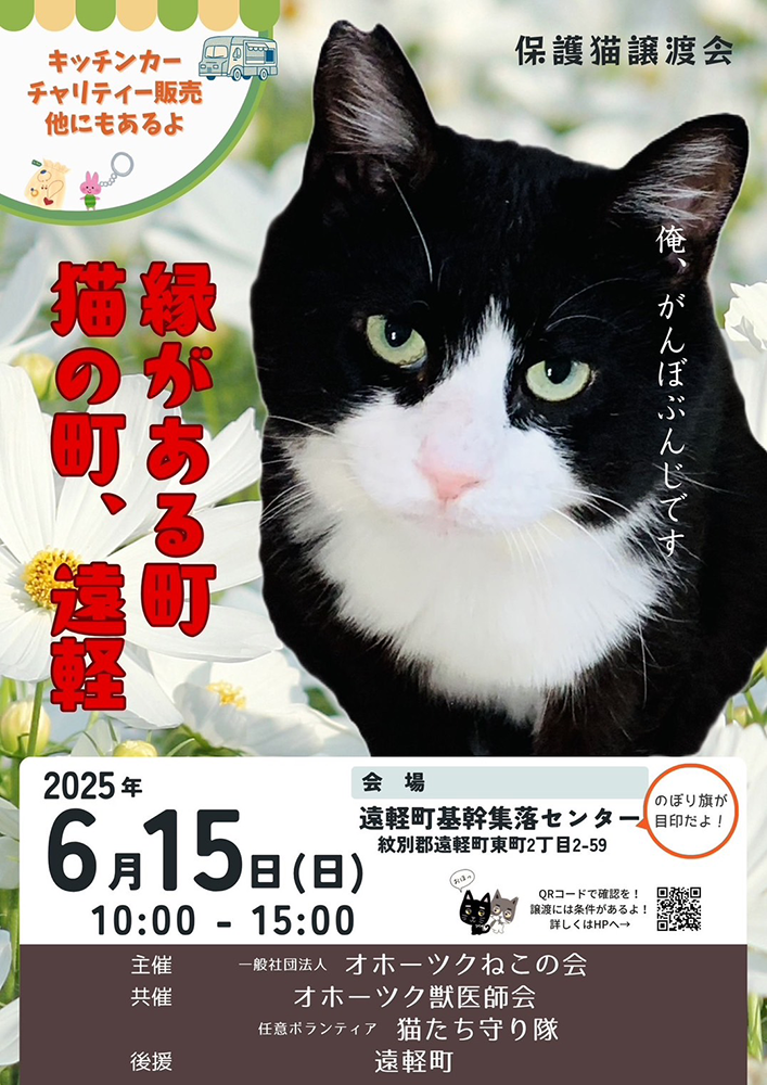 おほねこ譲渡会