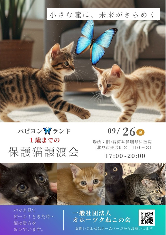 おほねこ譲渡会