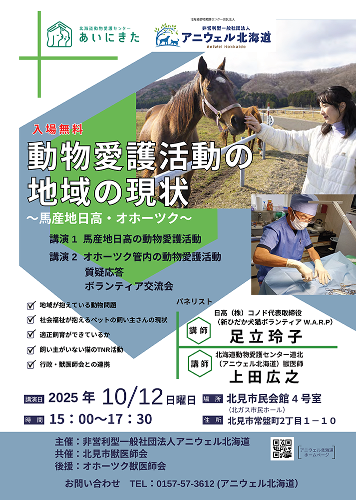 おほねこ譲渡会