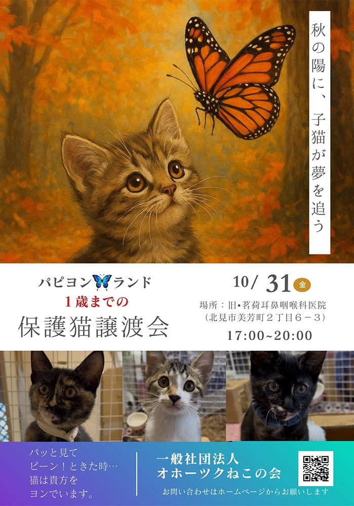 おほねこ譲渡会