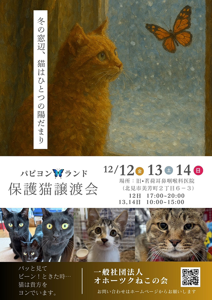 おほねこ譲渡会