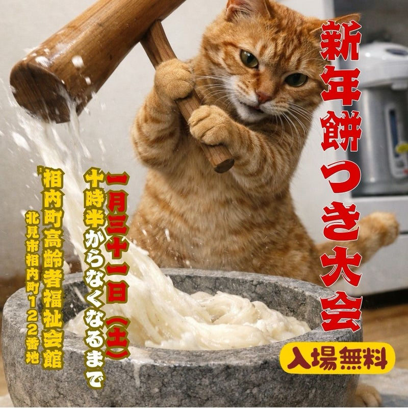 おほねこ譲渡会