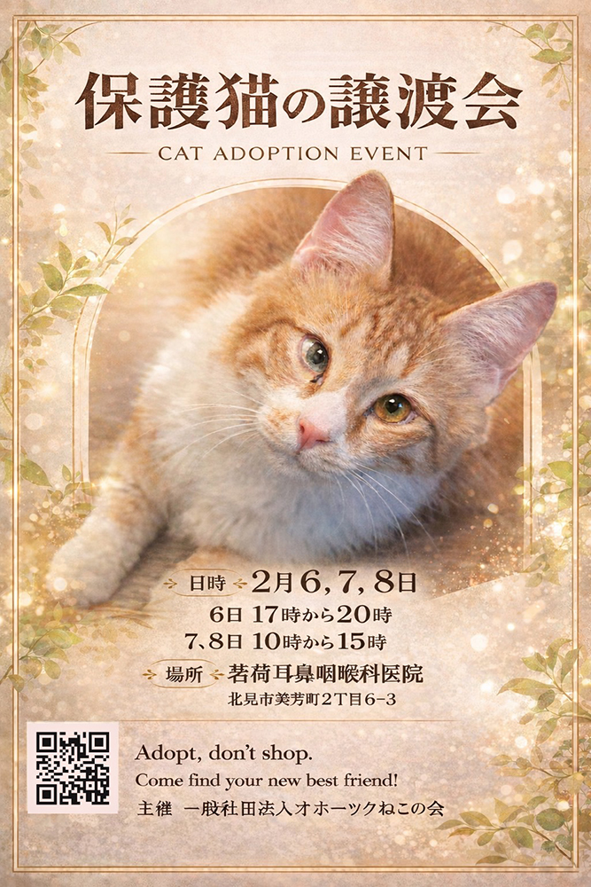 おほねこ譲渡会