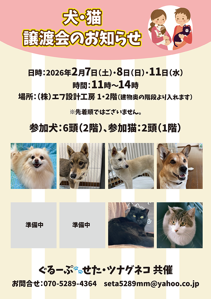 おほねこ譲渡会