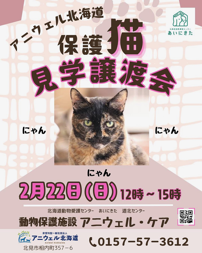猫の日イベント
