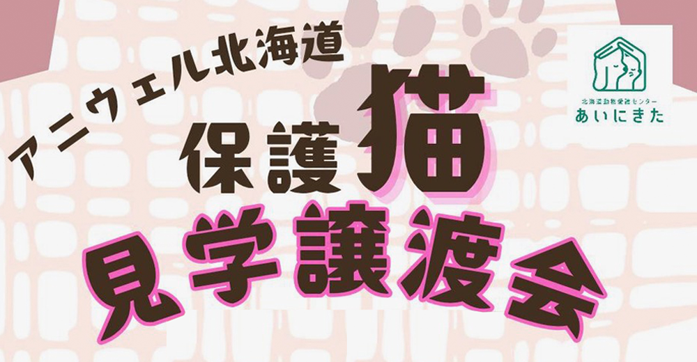保護猫見学会