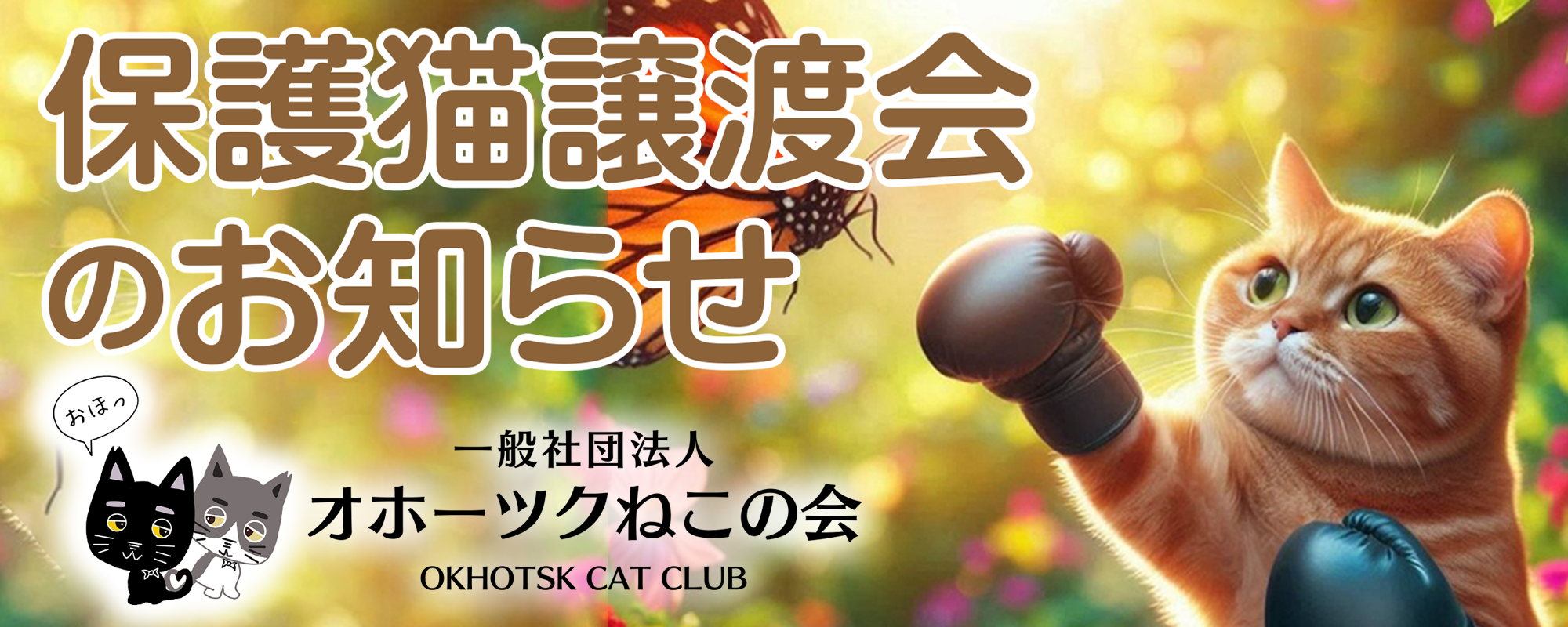 保護猫譲渡会