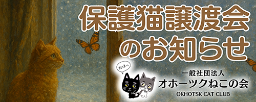 パピヨンランド保護猫譲渡会